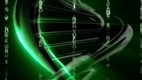 Dna data 512x384