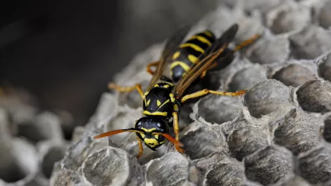 Gettyimages 1134045462