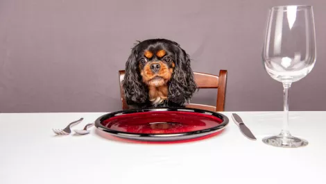 Gettyimages 1177461354