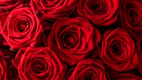 Gettyimages 1179143490