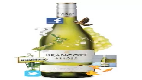 Brancott