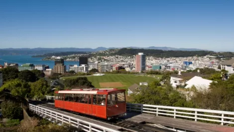 Thinkstock wellington