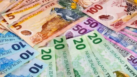 New zealand money