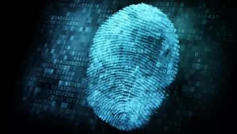 Digital fingerprint
