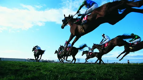 Gettyimages dv818029