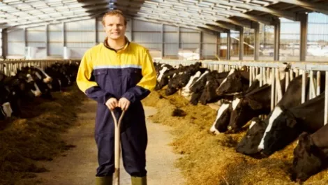 Gettyimages dv1635022