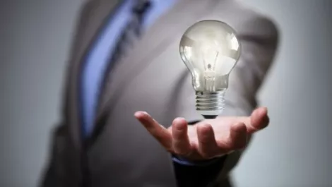 Bulb business growth