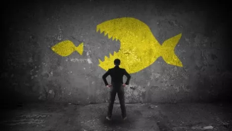 Big fish