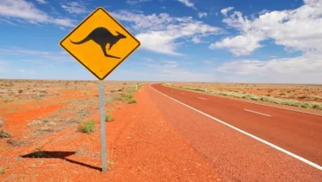 Nt endless road