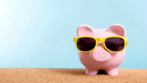 Piggy bank sunnies