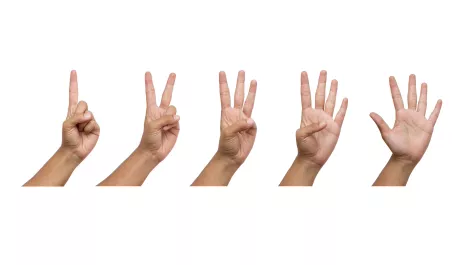 Thinkstockphotos 470535896