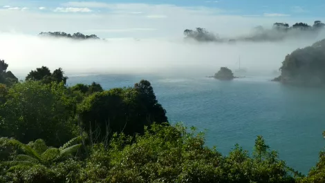 Stewart island
