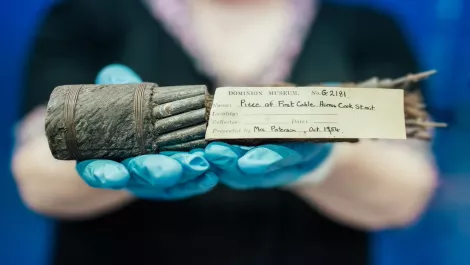 63080a39224f4f6c8efec727b0c85185