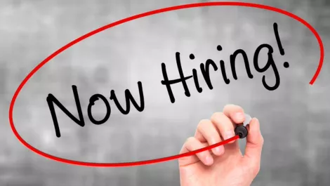 Logicalis Australia CEO, sales director depart