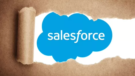 Salesforce secrets revealed