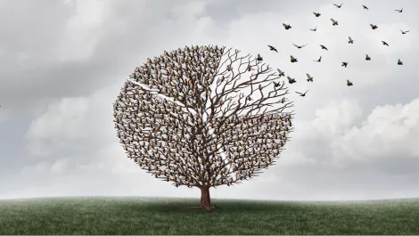 Thinkstockphotos 544734920