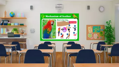 Screen shot 2017 03 03 at 11