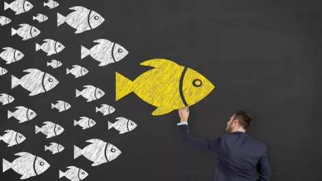 Thinkstockphotos 528912136