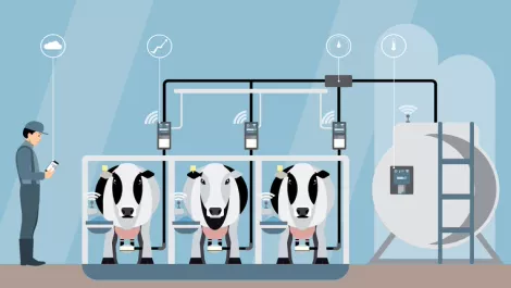 Thinkstockphotos 804504138