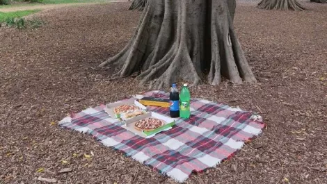 Dominoes picknick