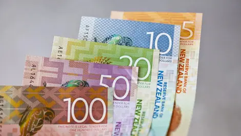 Jury still out on value of Provincial Growth Fund initiatives, says BERL