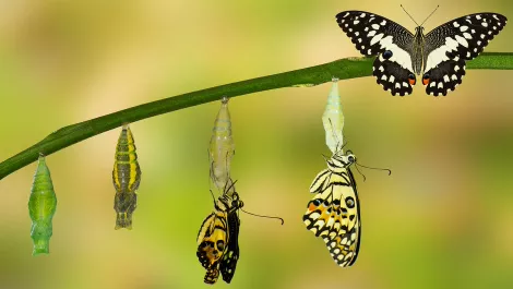 Thinkstockphotos 538989002