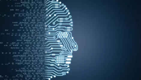 Thinkstockphotos 1009216282