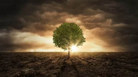 Gettyimages 536660158