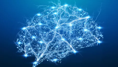 Gettyimages 1196084872