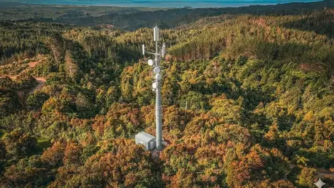 One NZ, 2degrees plan shared mobile network business