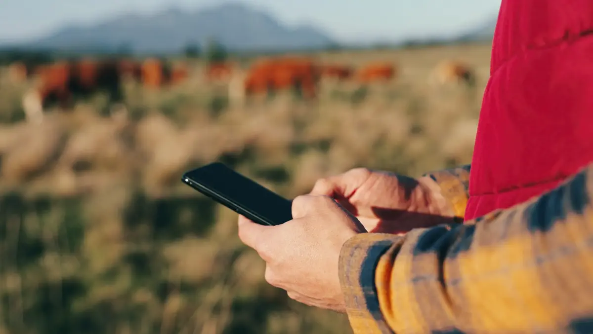 Without 3G 'rural mobile coverage has gone backwards'